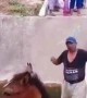 Woman Distraught Over Men Moving Horse