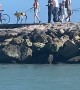 Woman Walks Robot Dog Down Fort Pierce Jetty