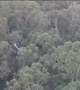 Wedge-Tailed Eagle Swoops at Drone