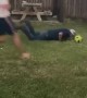 Attempted Soccer Goals Lands Flat