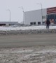 Wild Bear Runs Through Streets in Russia