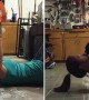 Stubborn Puppy Is Determined To Join Owner\'s Workout Routine