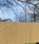 Doggy Tests Out New Fence
