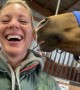 Horse Rubs Nose Against Lady's Ear