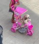 Girl Takes Dog for Stroll