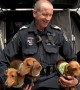 South Australia Police make a very funny April Fools video
