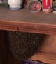 Bees Construct Huge Beehive Inside Cupboard