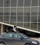 Agile Dog Stands Atop of Car