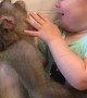 Kid Plays with Monkey Pal