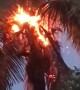 Fire Engulfs Palm Tree After Lightning Strike