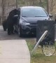 Bear Climbs Into Backseat of Car