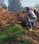 Saving Pigs from a Bush Fire