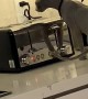 Curious Cat Startled by Toaster Popping