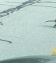 Baby Opossum Falls from Mama during Road Crossing