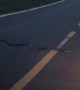 Motorcycle Doesn't Wait for Snake to Cross Road