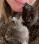 Cuddling With Litter of Kittens Gets Intense