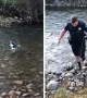 Officer rescues scared dog stranded in a river