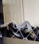 Cat Climbing on Air Clothes Dryer Takes a Tumble