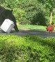 Hungry Bears Make Off With Bird Seed