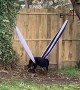 Dog Struggles to Escape Hammock