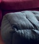 French Bulldog Flips Bed