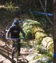 Mountain Biker Tripped Up By Tree Branch
