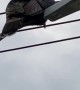 Turkey Sits On Streetlight
