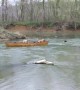 Hero Dog Rescues Two Pups Trapped In Moving Kayak