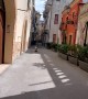 Dog Skates Through Italian Alleys