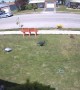 Microburst of Wind Tears Through Lawn Ornaments