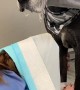Clever Vet Protects Herself From Doggy Drool
