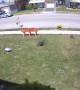 Microburst of Wind Tears Through Lawn Ornaments
