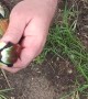 Choking Bird Rescued