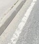 Guy Stops to Save Ducklings From Tall Curb