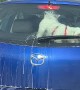 Doggy Tries to Play Fetch With Windshield Wiper