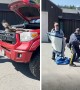 Mounties work together to free hawk trapped behind truck\'s grill