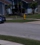 Neighbor Throws Knife