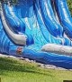 Labrador Loves Giant Waterslide
