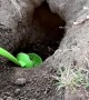 Giving a Gopher a Helping Hand Digging