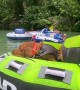Golden Retrievers Travel Down River in Style