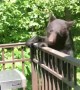 Gatlinburg Bear Licks Grill