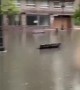 Sudden storm causes massive floods in Oviedo, Spain
