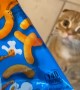 Cat Craves Cheese Puffs