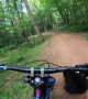 Bear Cub Runs Up on Mountain Biker
