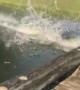 Golf Cart Pond Jump Ends with a Splash