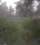 Flash of Lightning Strikes in Backyard on Rainy Day
