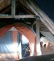 Lion Climbs Into Campers Tent
