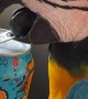 Cool Parrot Opens Can