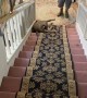 Pit Bull Slides Sideways Down Stairs