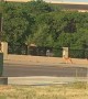 Bold Deer Flips over Fence